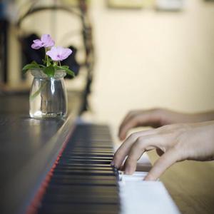 Free1819❌❌❌Asan
